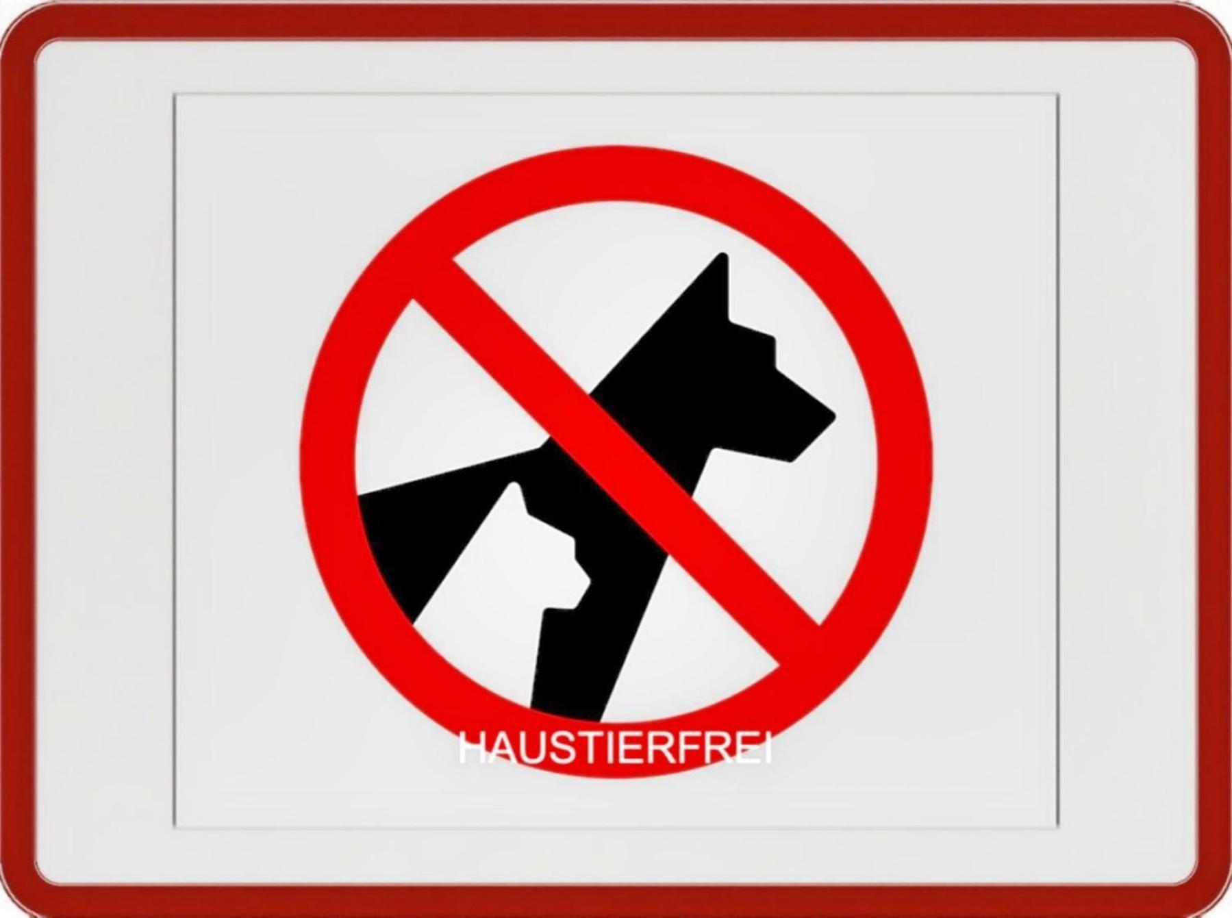 شقة Haus Im Gruenen هيرينجسدورف الغرفة الصورة